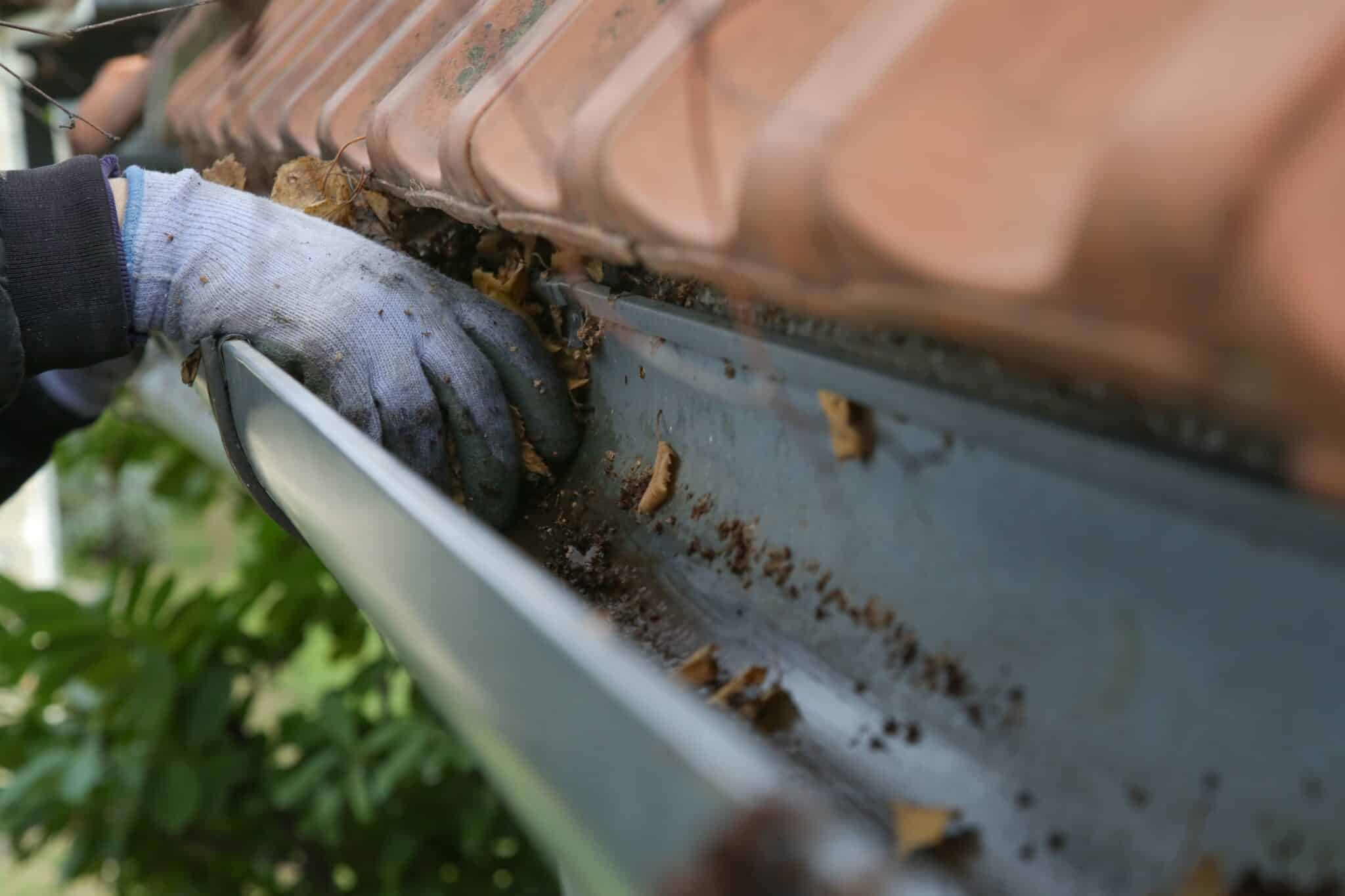 is gutter cleaning necessary
